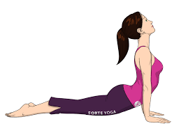 Upward Facing Dog Yoga Pose Forte Yoga Upward Facing Dog Dog Yoga Yoga Poses