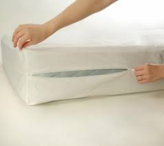 Bed Bug Protection Mattress Covers Mattress Protector Mattress Encasement Bed Bugs