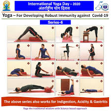 Yoga Poses Images Gif Animated Gif Wallpaper Sticker For Whatsapp Facebook Educratsweb In 2020 Morning Yoga Poses Happy International Yoga Day Yoga Poses