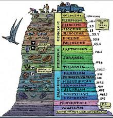 Epocas De Evolucion De La Tierra Earth Science Geologic Time Scale Science And Nature