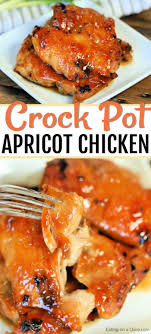 Crock Pot Apricot Chicken Recipe The Best Apricot Chicken Recipe Recipe Apricot Chicken Recipes Chicken Crockpot Recipes Easy Chicken Recipes