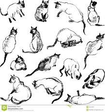 Gallery For Cat Poses Drawing Cat Pose Cat Stock Sketches
