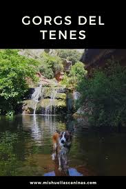 Ruta Als Gorgs Del Tenes De Riells Con Perro Rutas De Senderismo Parques Nacionales Rutas