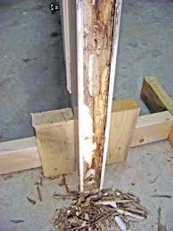 How To Repair A Rotted Door Bottom And Weatherstrip Part 1 Wood Repair Repair Door Repair