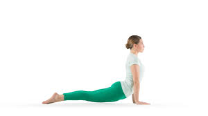 Upward Facing Dog Inversions Yoga Poses Learn Yoga Poses Upward Facing Dog