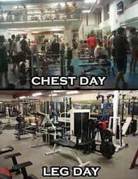 Pin On Funny Pictures