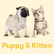 Even places that offer free delivery, loyalty discounts and % off for repeat orders, petpost's everyday. Budget Pet Products Discount Dog Products Pets Pet Shops Pet Store Pet Food Cat Food Pet Supplies Pet Products For Dogs Pet Shop Dogs Shop Pets Supply Dog Food Pets Australia