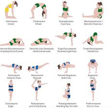 A2 Hatha Yoga Poster Printable Poster For Teachers And Students 72 Main Asanas In Sanskrit With The Eng Translation Hatha Yoga Hatha Yoga Asanas Yoga Poster