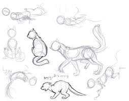 Four Cat Poses By Drunkontea On Deviantart Cat Drawing Tutorial Animal Sketches Animal Drawings