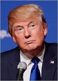 Arizona Secretary Of State 2020 General Election