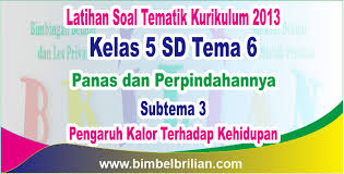 Soal Tema 6 Kelas 5 Sd Subtema 3 Pengaruh Kalor Terhadap Kehidupan Dan Kunci Jawaban Bimbel Brilian