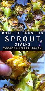 Brussel Sprouts Stalk Recipe Oven Roasted Savory Thoughts Recipe In 2020 Recipes Haitian Food Recipes Brussel Sprouts