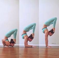 Scorpion Pose Progression Of Chest Stand To Forearm Handstand To Regular Scorpion Handstand Yoga Poses Advanced Advanced Yoga Yoga Articles