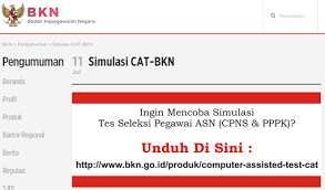Latihan Soal Cat Cpns Di Bkn Go Id Aplikasi Kucing Pemerintah
