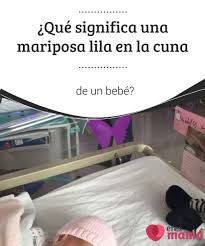 Pin En Ocio