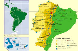 Pin En Sociales