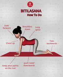 How To Do Bitilasana Yoga Facts Learn Yoga Poses Essential Yoga Poses