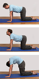 Yoga for pregnant, physical activity. Cat Pose Marjariasana The Art Of Living