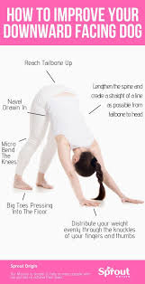 How To Improve Your Downward Facing Dog Downward Facing Dog Yoga Positions For Beginners Types Of Yoga