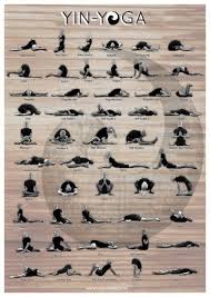 Yin Yoga Asanas Poster Yin Yoga Sequence Yin Yoga Poses Yoga Asanas