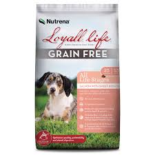 Looking for some different food and treat options? Loyall Life Grain Free Salmon Sweet Potato All Life Stages Dog Food Murdoch S