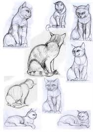 Cat Poses Ii By Jennomat Animal Drawings Cute Cat Drawing Cat Drawing