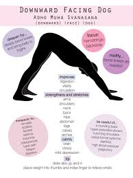 Pin By Yogaanne On Asana Infographics Yoga Benefits Yoga Postures Downward Facing Dog