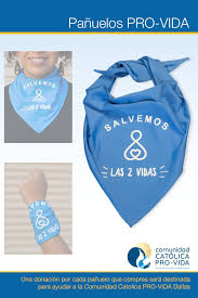 Pin En Provida Y Antifeminazi