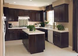 dark brown kitchen cabinets