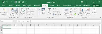 Bagian Fungsi Dan Pengertian Ribbon Pada Microsoft Excel Advernesia