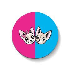 Logo Kira E Ray Me Contro Te Ricerca Google Festa Di Compleanno Per Bambini Immagini Festa Idee Compleanno Fai Da Te