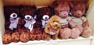 See reviews and photos of spas in park city, utah on tripadvisor. Fur Tails Pets Shop Pet Grooming Spa In Dubai Pet Groomer Dubai United Arab Emirates Facebook 231 Photos