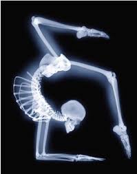 So Cool X Ray Yoga Anatomy
