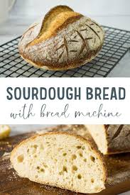 Simple Bread Machine Sourdough Recipe Bread Maker Recipes Sourdough Bread Recipe Sourdough Bread Machine