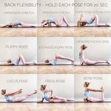 Best Yoga Youtube Channels Yogatutorials Easy Yoga Workouts Back Flexibility Yoga Help