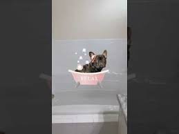 Home For Sale In Autumn Woods Naples Florida This Fabulous Autumn Woods Home For Sale At 6580 Chestnut Circl In 2020 Florida Home Naples Florida Florida Homes For Sale