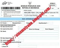 Cara Mengikuti Sensus Penduduk Online 2020 Dan Contoh Kuesioner Sensus Penduduk Tahun 2020 Pendidikan Kewarganegaraan Ilmu Ekonomi Pendidikan Kewarganegaraan