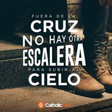 Biblioteca De Catholic Link No Hay Otra Escalera Al Cielo Santa Rosa De Lima Frases Cursis Frases De Santos Citas Catolicas