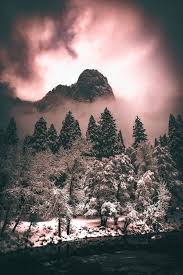 Trees Under The Stars Photo Free Woods Lake Campground Image On Unsplash Snow Covered Trees Fall Wallpaper Photo