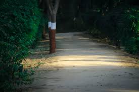 Editing Background Pictures Download Free Images On Unsplash Change images, colors, backgrounds, text, and fonts.