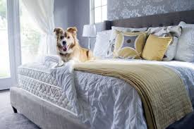 Pin On Saatva Reviews