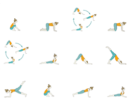 30 Minute Yoga Chinese New Year Yoga Sequence Yang Yoga Sequence The Year Of Dog 2018 Yoga Sequences Yoga Teachers Yin Yoga Sequence