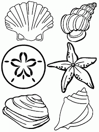 Belle Conchiglie Marine Da Stampare E Da Colorare Disegni Da Colorare Estate Libri Da Colorare Pagine Da Colorare Per Adulti