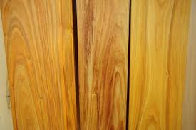 Canary Wood