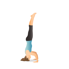 Yoga Pose Tripod Headstand Headstand Yoga Poses Yoga Illustration
