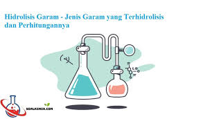 Hidrolisis Garam Jenis Garam Yang Terhidrolisis Dan Perhitungannya Kimia Reaksi Kimia Jenis