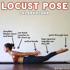 How To Locust Pose Salabhasana Follow Yogarove Follow Yogarove The Main Think People Forge Backbend Yoga Poses Yoga For All Yoga For Flexibility