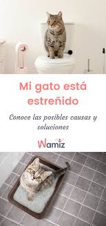 Pin En Salud Gatos