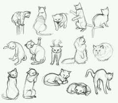 Cat Pose Reference Animal Drawings Cat Sketch Cat Drawing