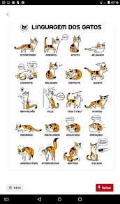 Pin By Agusosa On Figuras Cat Language Cat Body Cats